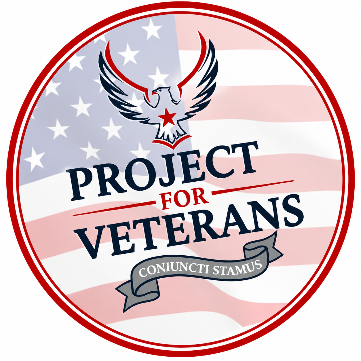 Project For Veterans